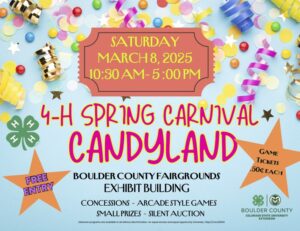 4-H Carnival flyer