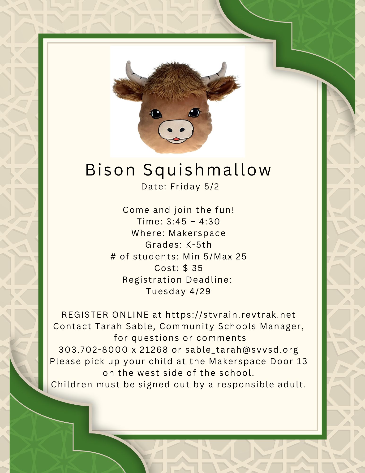 Enrichment flyer