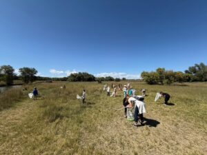 A group of people, mostly children, are collecting samples in a grassy field near a body of water under a clear blue sky.